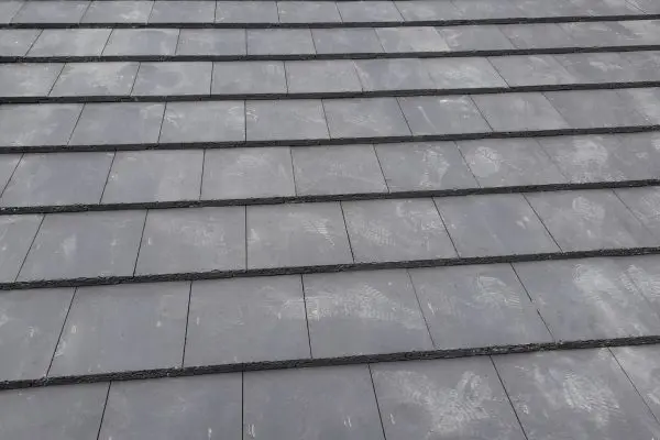 346292692_959697755066532_1883257935503327686_n